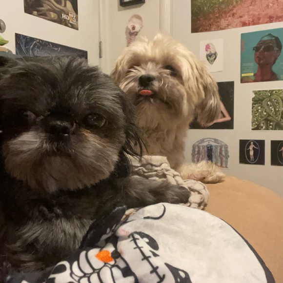 Meet your Posher, Adrene - Picture 1 of 1